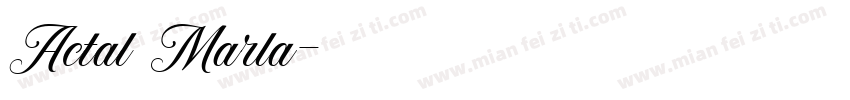 Actal Marla字体转换